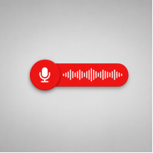 Voice Recorders