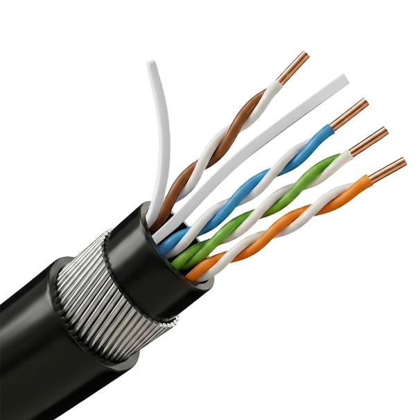 UTP6-305-BC-PE/PVC-ARM Cat6